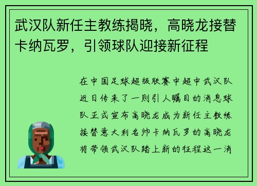 武汉队新任主教练揭晓，高晓龙接替卡纳瓦罗，引领球队迎接新征程