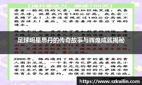 足球明星思丹的传奇故事与辉煌成就揭秘